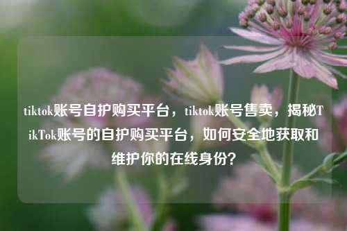 tiktok账号自护购买平台，tiktok账号售卖，揭秘TikTok账号的自护购买平台，如何安全地获取和维护你的在线身份？
