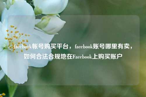 facebook帐号购买平台，facebook账号哪里有卖，如何合法合规地在Facebook上购买账户