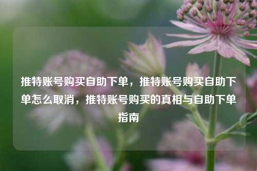 推特账号购买自助下单，推特账号购买自助下单怎么取消，推特账号购买的真相与自助下单指南