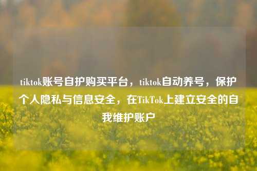 tiktok账号自护购买平台，tiktok自动养号，保护个人隐私与信息安全，在TikTok上建立安全的自我维护账户