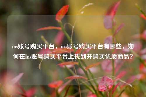 ins账号购买平台，ins账号购买平台有哪些，如何在Ins账号购买平台上找到并购买优质商品？