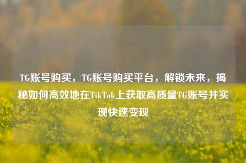 TG账号购买，TG账号购买平台，解锁未来，揭秘如何高效地在TikTok上获取高质量TG账号并实现快速变现