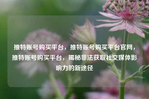 推特账号购买平台，推特账号购买平台官网，推特账号购买平台，揭秘非法获取社交媒体影响力的新途径