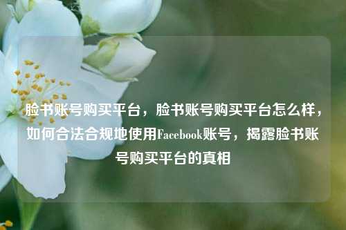 脸书账号购买平台，脸书账号购买平台怎么样，如何合法合规地使用Facebook账号，揭露脸书账号购买平台的真相