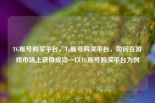 TG账号购买平台，Tg账号购买平台，如何在游戏市场上获得成功—以TG账号购买平台为例