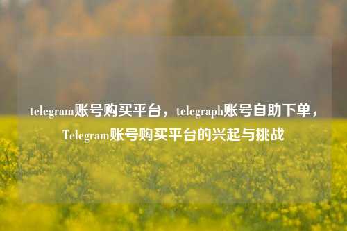 telegram账号购买平台	，telegraph账号自助下单，Telegram账号购买平台的兴起与挑战  第1张