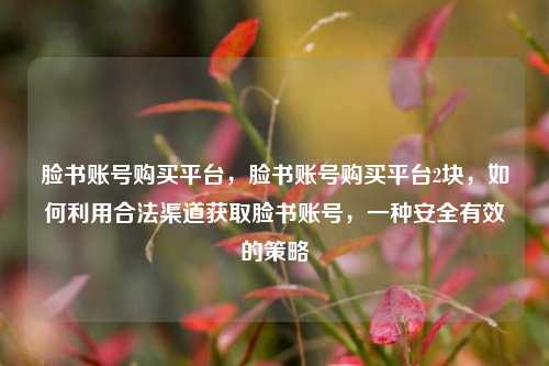 脸书账号购买平台，脸书账号购买平台2块，如何利用合法渠道获取脸书账号，一种安全有效的策略