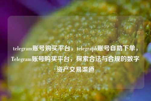 telegram账号购买平台，telegraph账号自助下单，Telegram账号购买平台，探索合法与合规的数字资产交易渠道