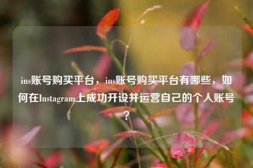 ins账号购买平台，ins账号购买平台有哪些	，如何在Instagram上成功开设并运营自己的个人账号？  第1张