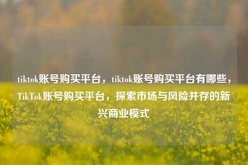 tiktok账号购买平台，tiktok账号购买平台有哪些，TikTok账号购买平台，探索市场与风险并存的新兴商业模式