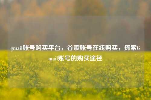 gmail账号购买平台，谷歌账号在线购买，探索Gmail账号的购买途径