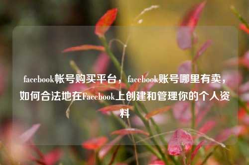facebook帐号购买平台，facebook账号哪里有卖，如何合法地在Facebook上创建和管理你的个人资料