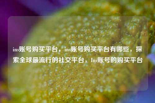 ins账号购买平台，ins账号购买平台有哪些，探索全球最流行的社交平台，Ins账号的购买平台