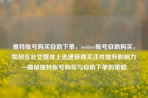 推特账号购买自助下单，twitter账号自助购买，如何在社交媒体上迅速获得关注并提升影响力—揭秘推特账号购买与自助下单的策略