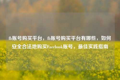 fb账号购买平台，fb账号购买平台有哪些，如何安全合法地购买Facebook账号，最佳实践指南