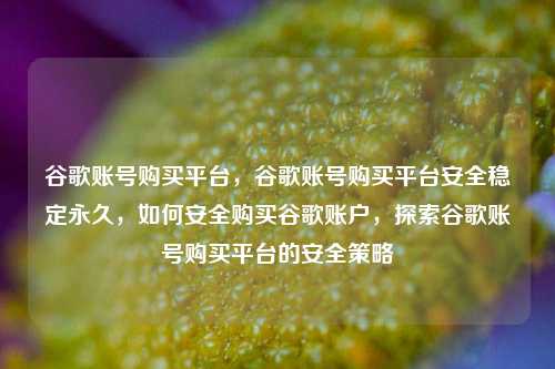 谷歌账号购买平台	，谷歌账号购买平台安全稳定永久，如何安全购买谷歌账户，探索谷歌账号购买平台的安全策略  第1张