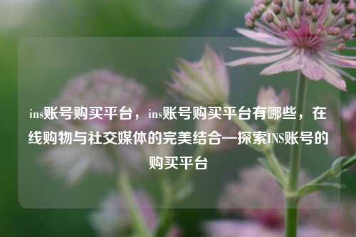 ins账号购买平台，ins账号购买平台有哪些，在线购物与社交媒体的完美结合—探索INS账号的购买平台