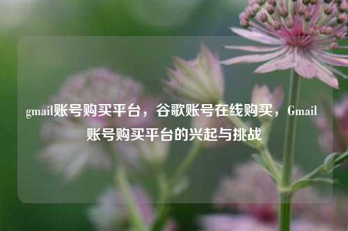 gmail账号购买平台，谷歌账号在线购买，Gmail 账号购买平台的兴起与挑战