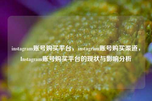 instagram账号购买平台，instagram账号购买渠道，Instagram账号购买平台的现状与影响分析