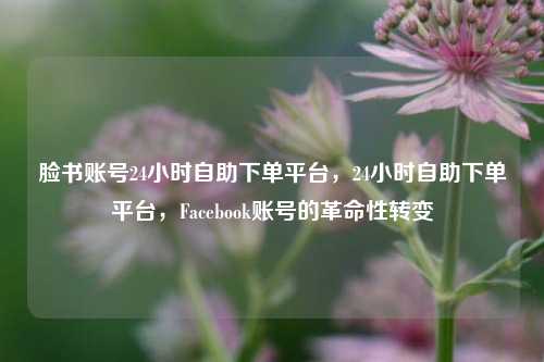 脸书账号24小时自助下单平台	，24小时自助下单平台，Facebook账号的革命性转变  第1张