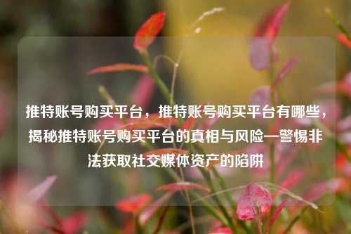 推特账号购买平台，推特账号购买平台有哪些，揭秘推特账号购买平台的真相与风险—警惕非法获取社交媒体资产的陷阱