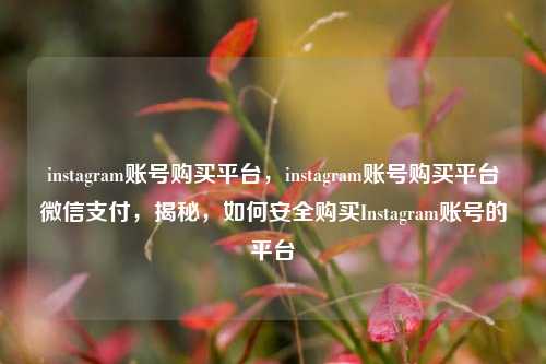 instagram账号购买平台，instagram账号购买平台微信支付，揭秘，如何安全购买Instagram账号的平台