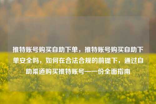 推特账号购买自助下单，推特账号购买自助下单安全吗，如何在合法合规的前提下，通过自助渠道购买推特账号—一份全面指南