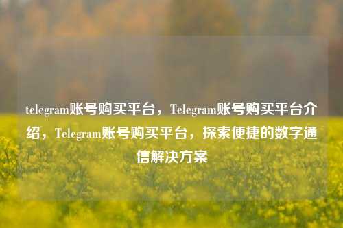 telegram账号购买平台，Telegram账号购买平台介绍	，Telegram账号购买平台，探索便捷的数字通信解决方案  第1张
