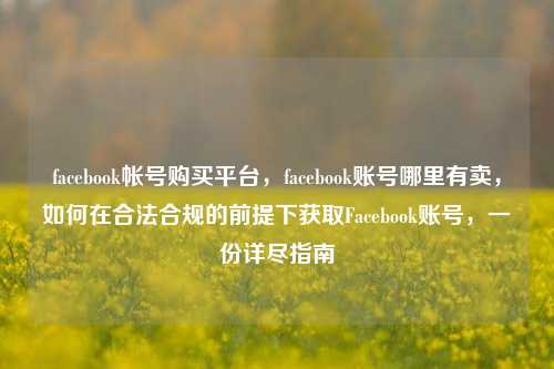 facebook帐号购买平台，facebook账号哪里有卖，如何在合法合规的前提下获取Facebook账号，一份详尽指南