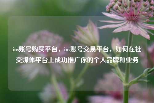 ins账号购买平台，ins账号交易平台，如何在社交媒体平台上成功推广你的个人品牌和业务