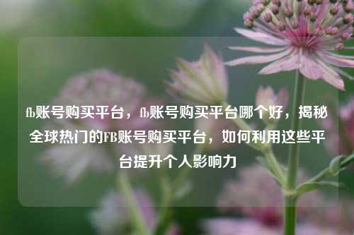 fb账号购买平台，fb账号购买平台哪个好，揭秘全球热门的FB账号购买平台	，如何利用这些平台提升个人影响力  第1张