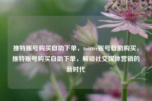 推特账号购买自助下单，twitter账号自助购买，推特账号购买自助下单，解锁社交媒体营销的新时代