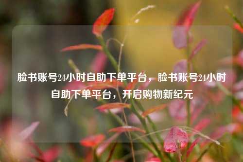脸书账号24小时自助下单平台，脸书账号24小时自助下单平台，开启购物新纪元