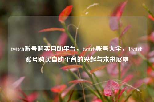 twitch账号购买自助平台，twitch账号大全	，Twitch账号购买自助平台的兴起与未来展望  第1张