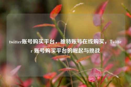 twitter账号购买平台，推特账号在线购买，Twitter 账号购买平台的崛起与挑战