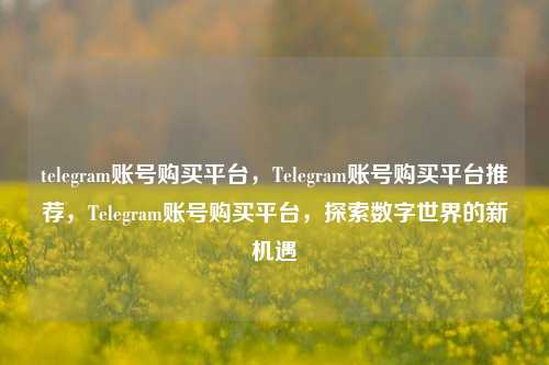 telegram账号购买平台，Telegram账号购买平台推荐，Telegram账号购买平台，探索数字世界的新机遇
