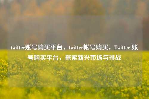 twitter账号购买平台，twitter帐号购买，Twitter 账号购买平台，探索新兴市场与挑战