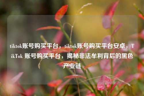 tiktok账号购买平台，tiktok账号购买平台安卓，TikTok 账号购买平台，揭秘非法牟利背后的黑色产业链