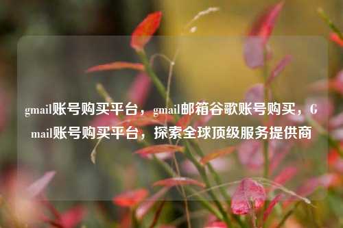 gmail账号购买平台，gmail邮箱谷歌账号购买，Gmail账号购买平台，探索全球顶级服务提供商