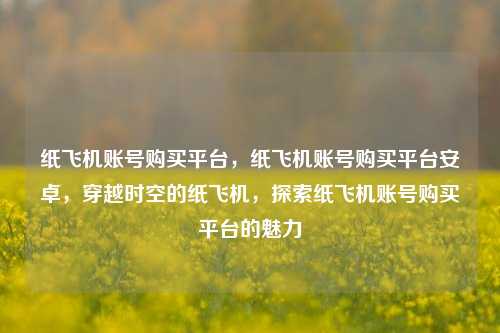 纸飞机账号购买平台，纸飞机账号购买平台安卓，穿越时空的纸飞机，探索纸飞机账号购买平台的魅力