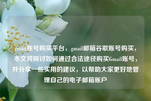 gmail账号购买平台，gmail邮箱谷歌账号购买，本文将探讨如何通过合法途径购买Gmail账号，并分享一些实用的建议，以帮助大家更好地管理自己的电子邮箱账户