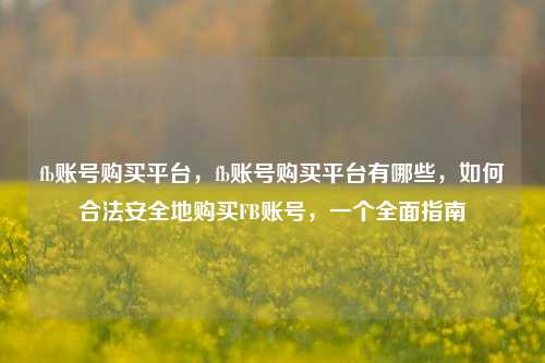 fb账号购买平台，fb账号购买平台有哪些，如何合法安全地购买FB账号，一个全面指南