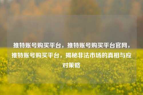 推特账号购买平台，推特账号购买平台官网，推特账号购买平台，揭秘非法市场的真相与应对策略