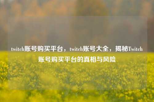twitch账号购买平台	，twitch账号大全，揭秘Twitch账号购买平台的真相与风险  第1张