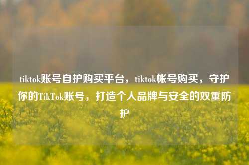 tiktok账号自护购买平台，tiktok帐号购买，守护你的TikTok账号，打造个人品牌与安全的双重防护