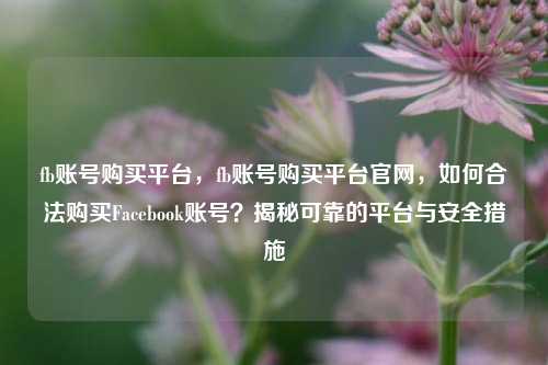fb账号购买平台，fb账号购买平台官网，如何合法购买Facebook账号？揭秘可靠的平台与安全措施