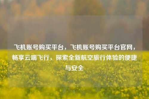 飞机账号购买平台，飞机账号购买平台官网，畅享云端飞行，探索全新航空旅行体验的便捷与安全