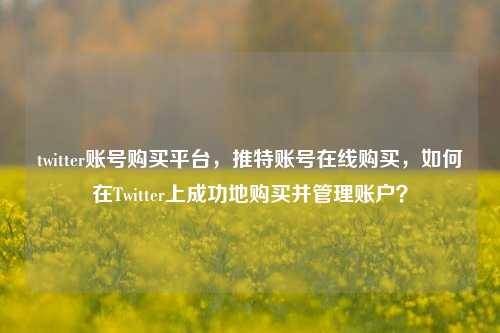 twitter账号购买平台，推特账号在线购买，如何在Twitter上成功地购买并管理账户？
