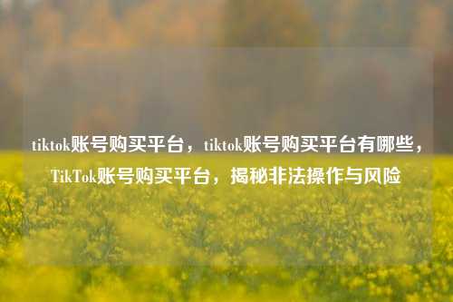 tiktok账号购买平台，tiktok账号购买平台有哪些，TikTok账号购买平台，揭秘非法操作与风险