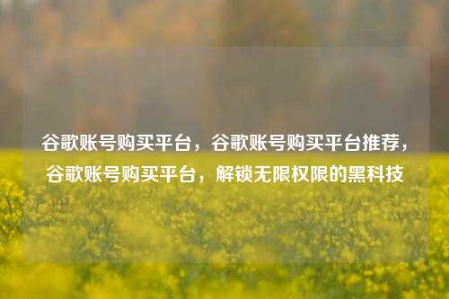 谷歌账号购买平台	，谷歌账号购买平台推荐，谷歌账号购买平台，解锁无限权限的黑科技  第1张